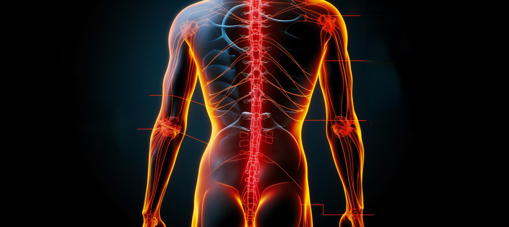 Дорожная карта при травме спинного мозга: вертикализация и ходьба