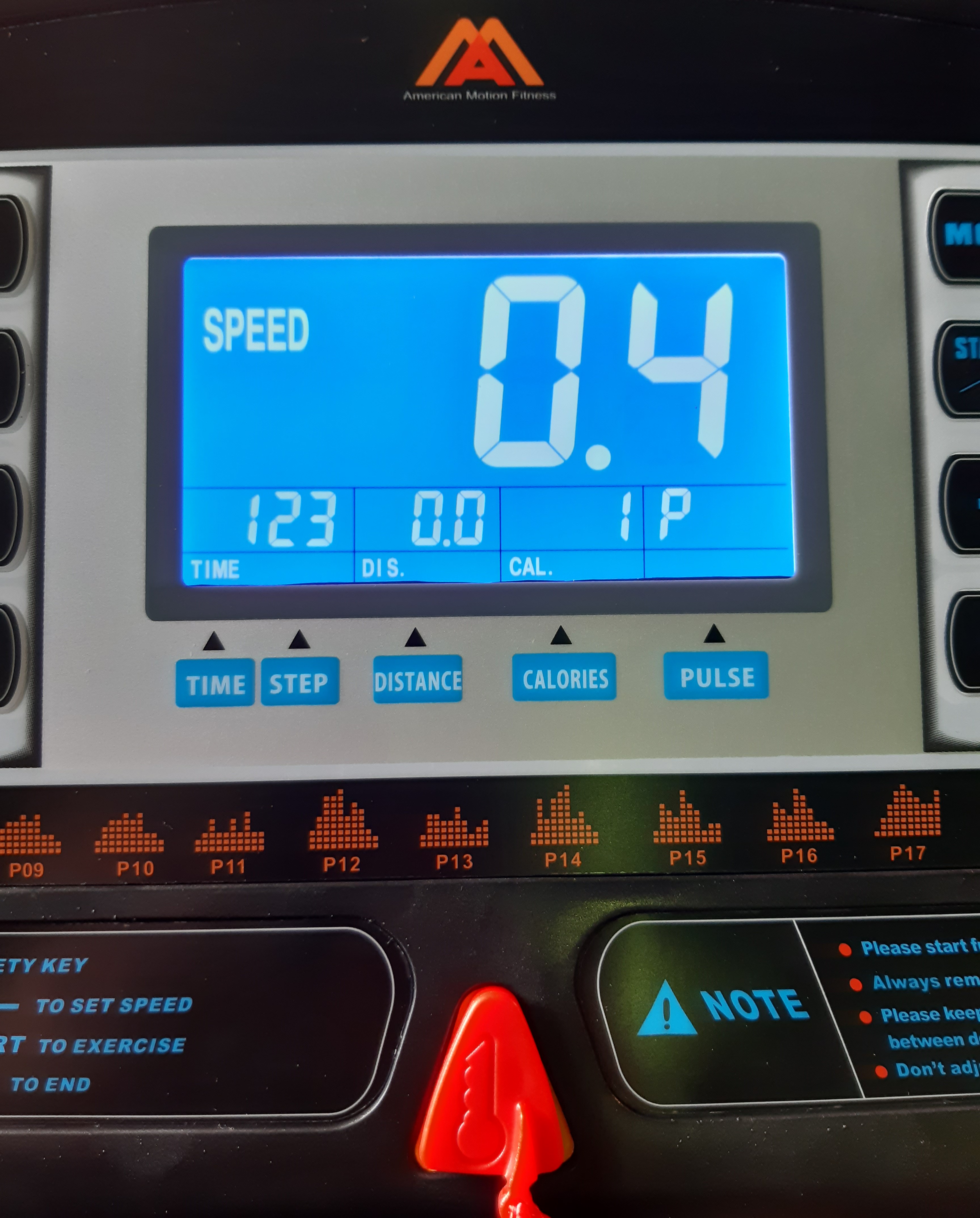 Беговая дорожка AMF TX001 + поручни D3